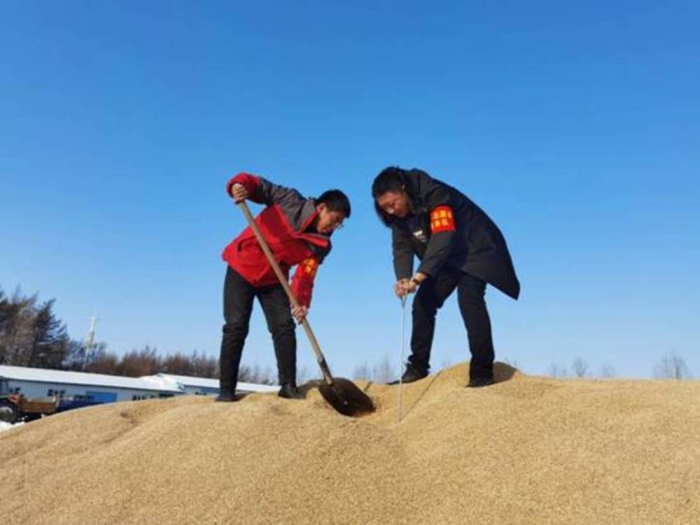 虎林市八五四农场冬闲人不闲打好护粮保卫战