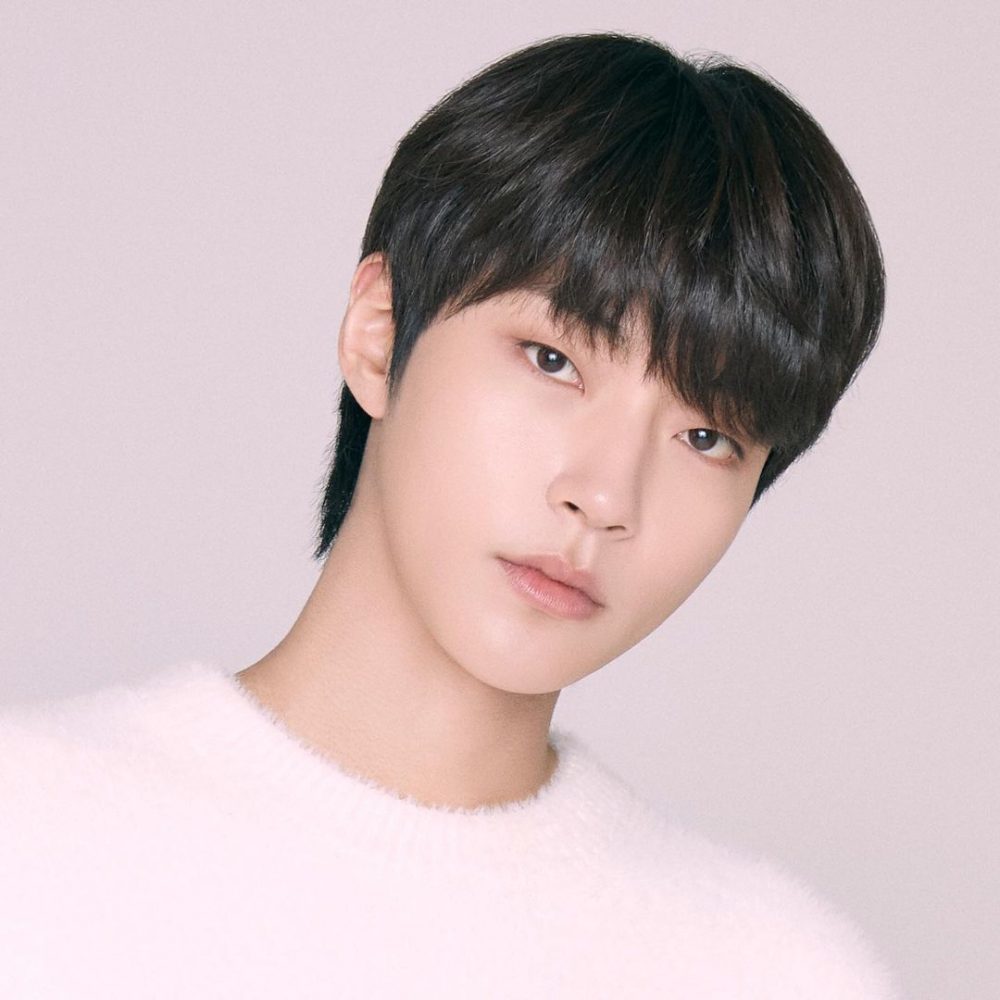 而泡菜编就要来精选几项本人可爱的tmi,刚入坑的粉丝绝对不能错过!