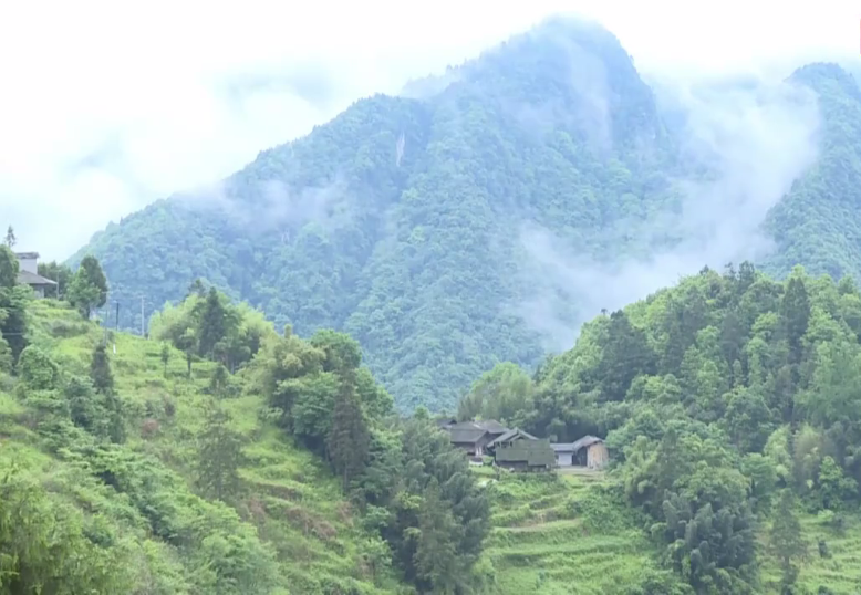 贵州大山深处悬崖村环境优雅如同仙境脱贫搬迁惹争议