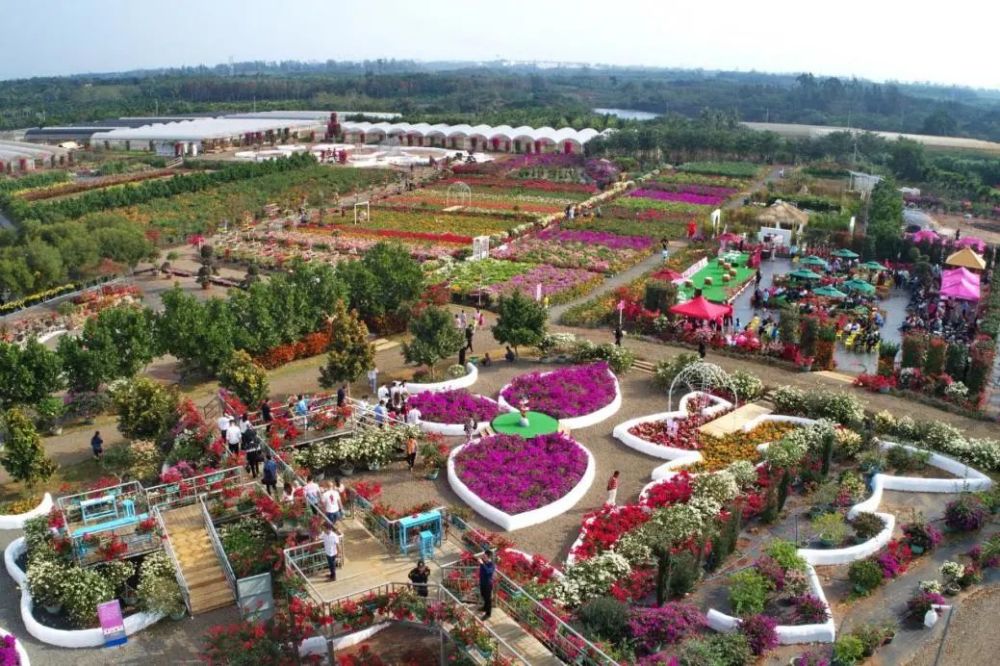 海南欢乐节海口主会场 乡村旅游攻略来了 一起尽情撒欢吧 腾讯新闻