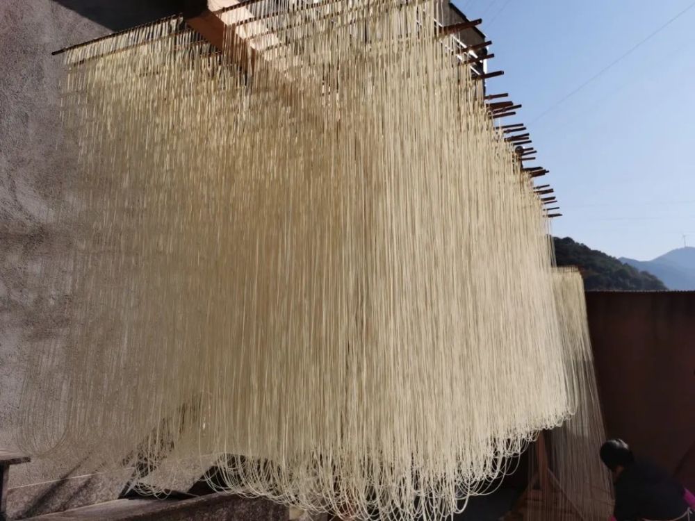 三门县海游街道岱阜新村 图/吴斐斐在三门海游,沙柳,亭旁一带,当地人