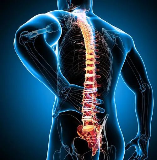 脊柱关节炎与强直性脊柱炎主要的区别在哪里呢