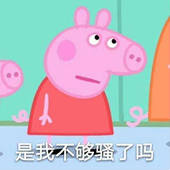 丁真再登热搜榜首一张脸火遍全球万众追捧直男怒吼他到底什么时候糊