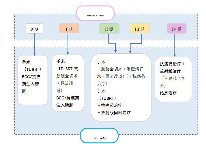 日本治疗膀胱癌有哪些要点 值得收藏 腾讯新闻