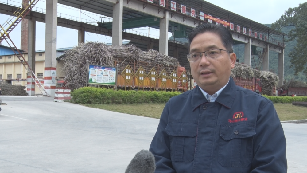 马山南华开榨 预计甘蔗进厂量同比增长21%