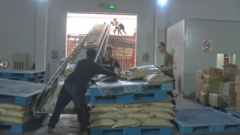 马山南华开榨 预计甘蔗进厂量同比增长21%