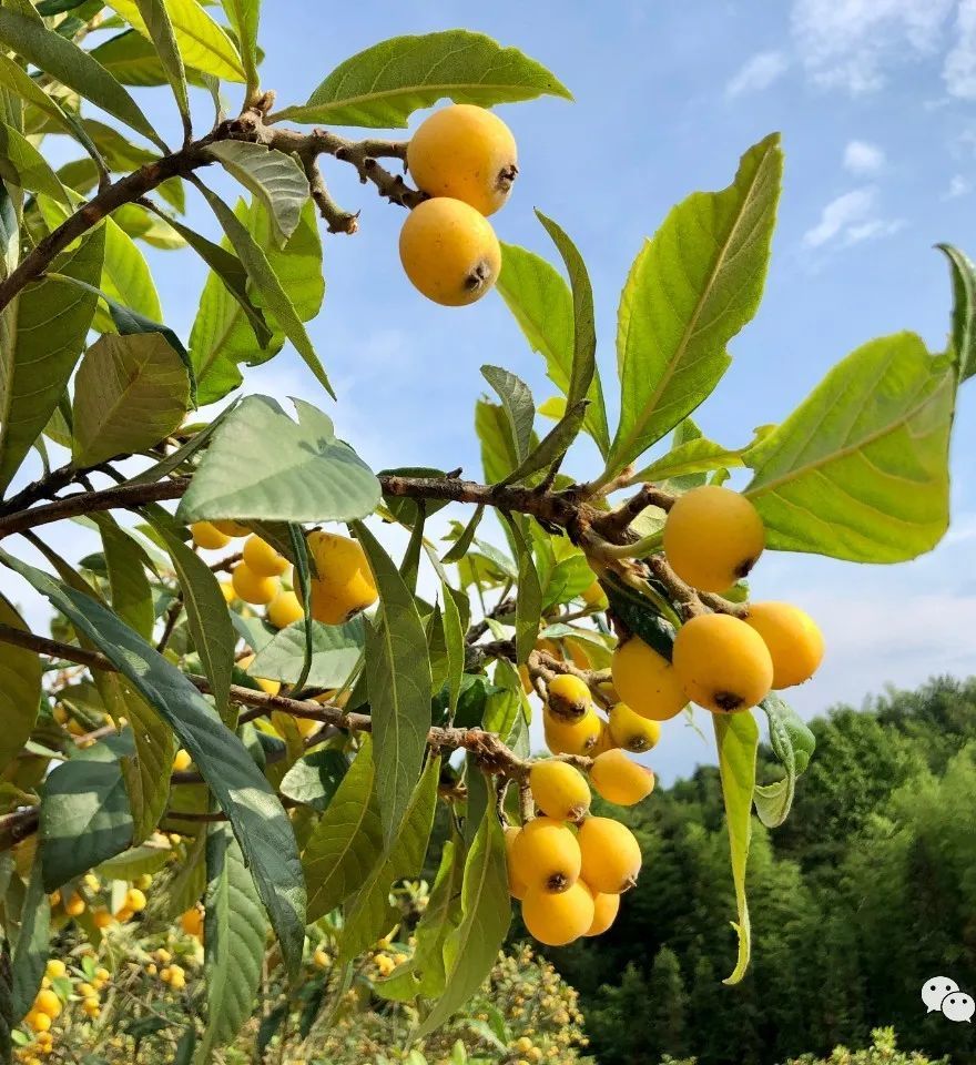 遇见最美江西|多彩山水 画里安义_腾讯新闻