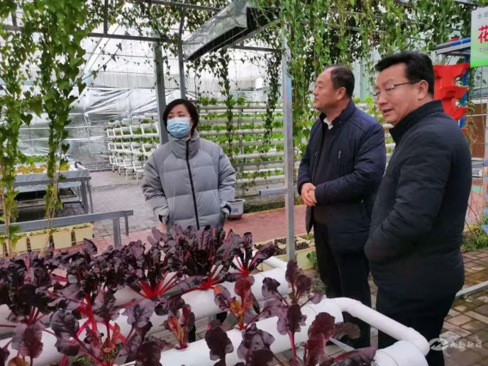 黄霓调研红旗谷现代农业产业园区发展情况