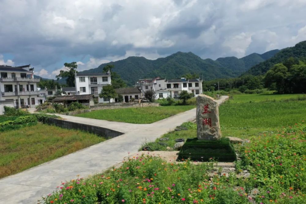 雾中弋江源崇山峻岭云雾缭绕金秋十月的兰湖村,天高云淡,茶园泛绿