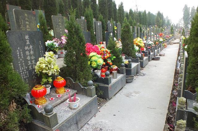 天津小区住十万个骨灰盒网友们表示死不起