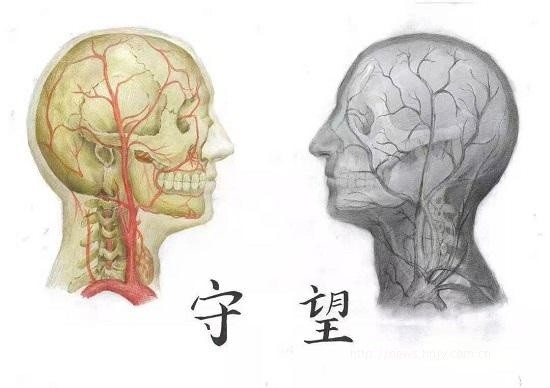 湖南工商职院 学子多幅作品在省解剖绘图大赛中获奖 湖南 绘画艺术