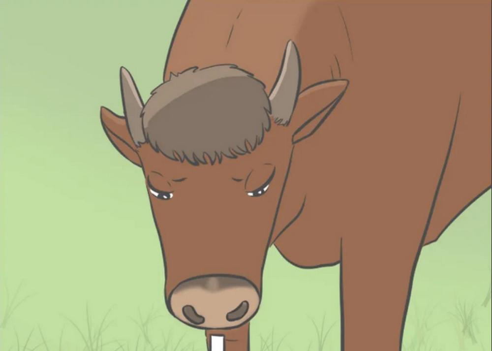 爆笑老黄牛勤勤恳恳多年却依旧找不到对象大师给他支了一招