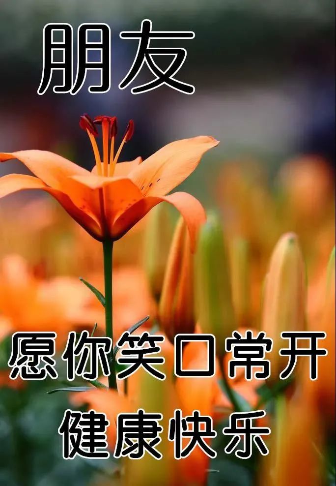 12月10日清晨群发早上好问候祝福语动态图片早晨好问候动态图片表情