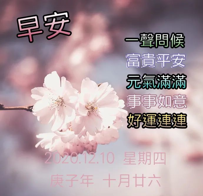 早安圖片帶字祝福語 早安圖片帶字2020