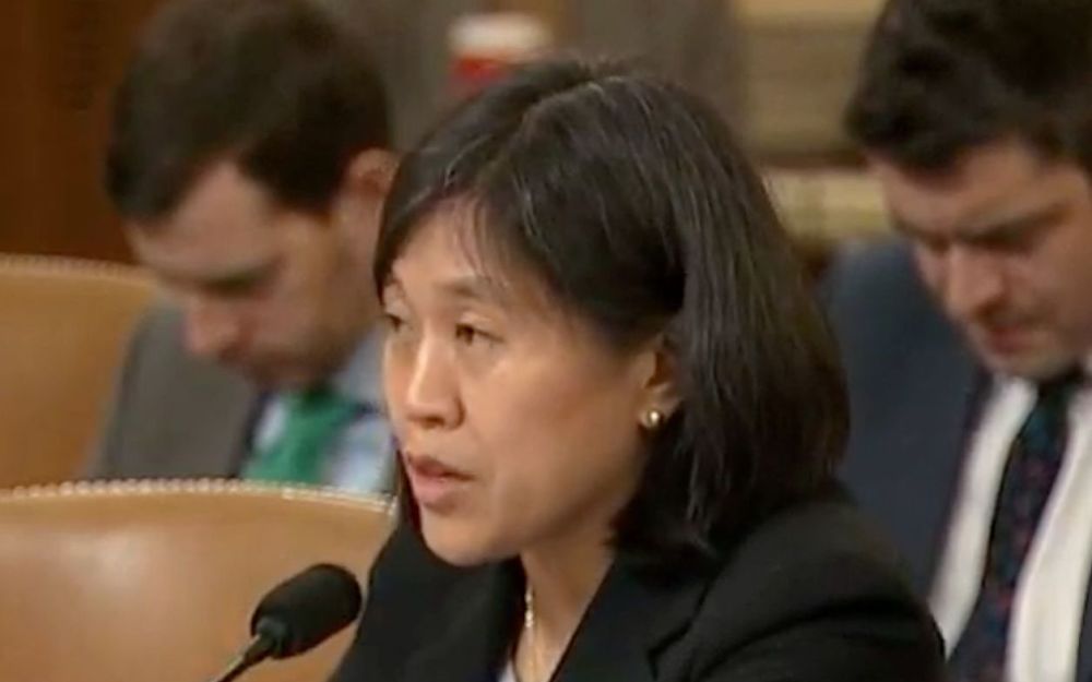 美媒:拜登将提名美籍华裔凯瑟琳·戴担任美国贸易代表