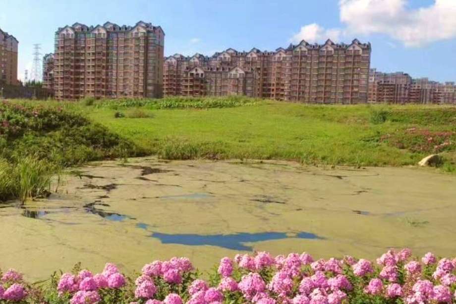 吉林省房价排名2020_吉林新增一“空城”,楼盘降价“无人问津”,当地人