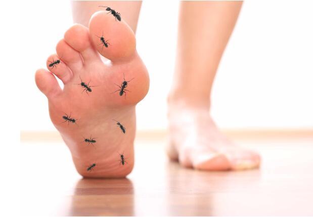 糖尿病患者 脚部出现这3个症状 糖尿病足 或离你不远了 腾讯新闻