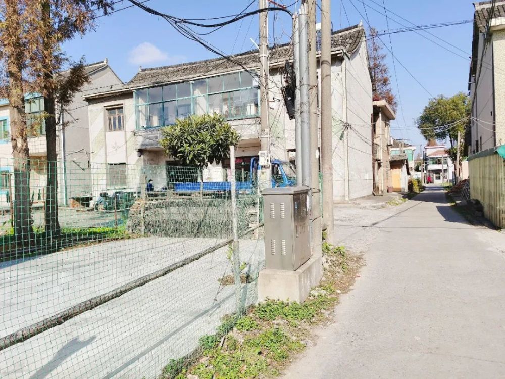 2020年带你走进一个不一样的庄行镇东风村