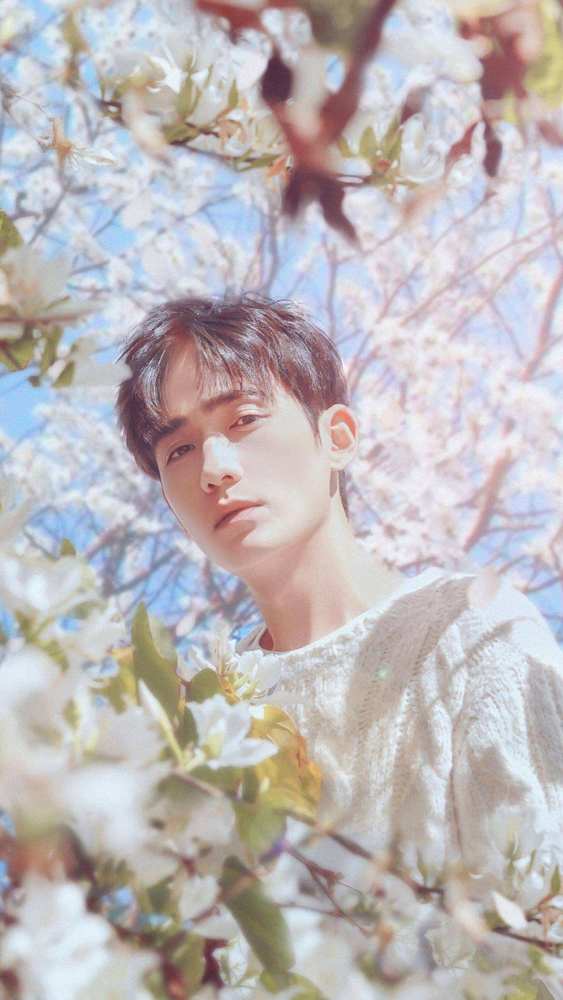 明星权力榜成毅挤进前五李易峰稳居第三第一的他霸占七项数据榜首