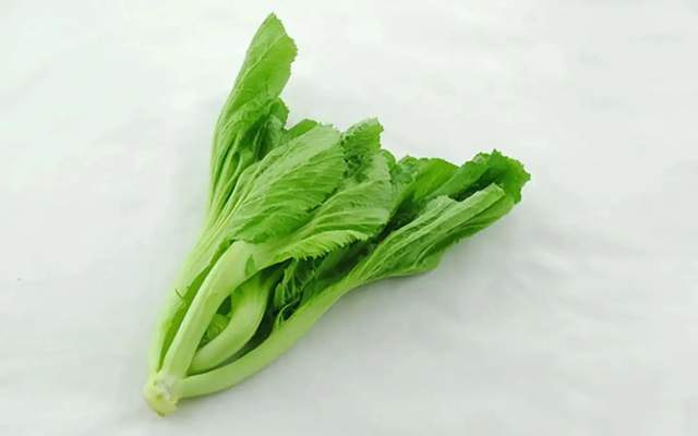 每一个广东人的心中 总有这 芥 不掉的美味 腾讯网