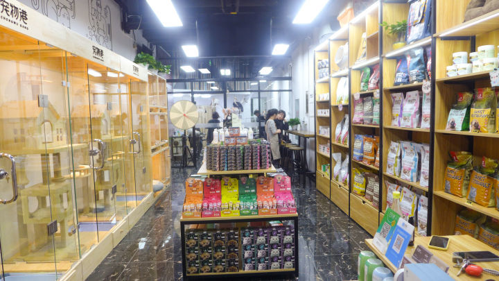 北京开了家超棒的宠物店——宠物港(通州万达店)_腾讯新闻