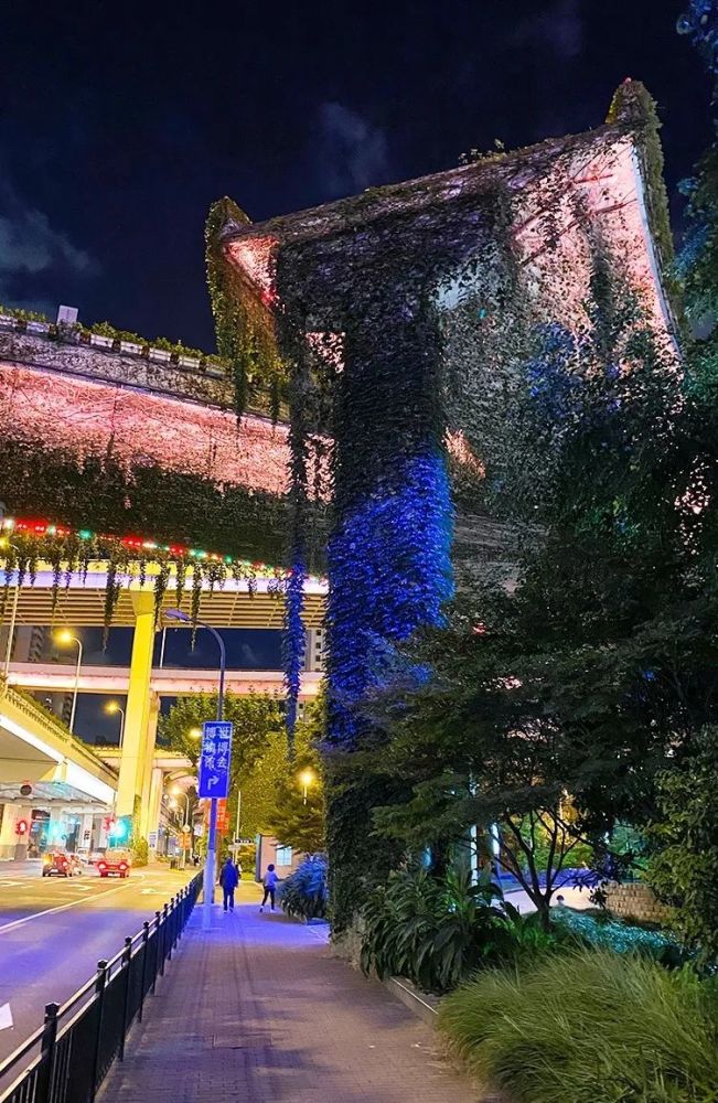 鲁班路立交桥下的这片水泥森林绿意盎然越夜越美丽