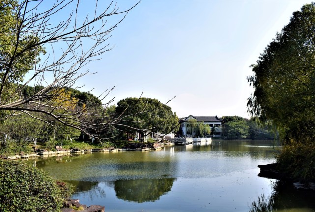 冬日下的范蠡湖|蠡湖|江南|范蠡湖公園