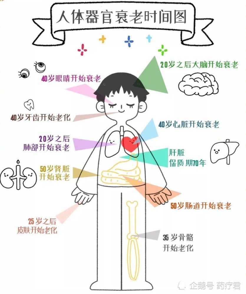 最新年龄划分标准出炉 65岁是青年人 网友 你我青春永驻啦 腾讯新闻