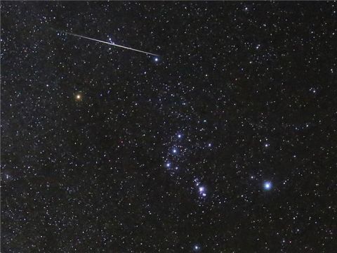 3月中旬双星伴月绽放红眼笑脸专家非常值得看