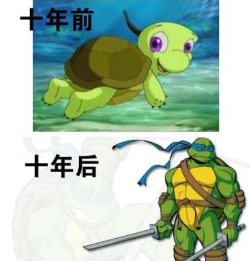 双面龟遇到忍者神龟当初这个家的女主人带她回来是为了给家里抓老鼠