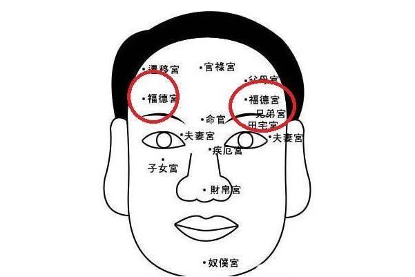 "福德宫"长得好的人,从小衣食无忧,能够享福到老!|额头|无忧