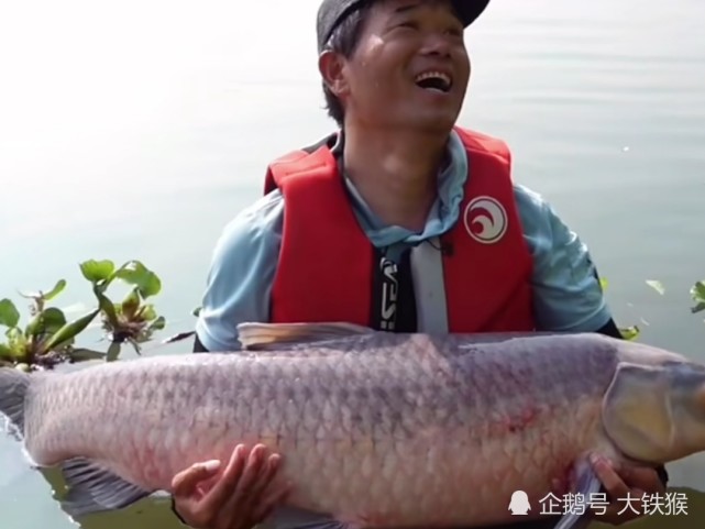邓刚一句话"气哭百万钓鱼人"|天元|鱼类|钓鱼人|邓刚|大青鱼