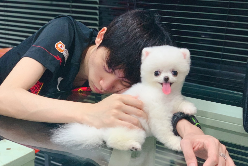 lpl峡谷工具人投票结果:doinb璐璐反超佐伊摘得头名