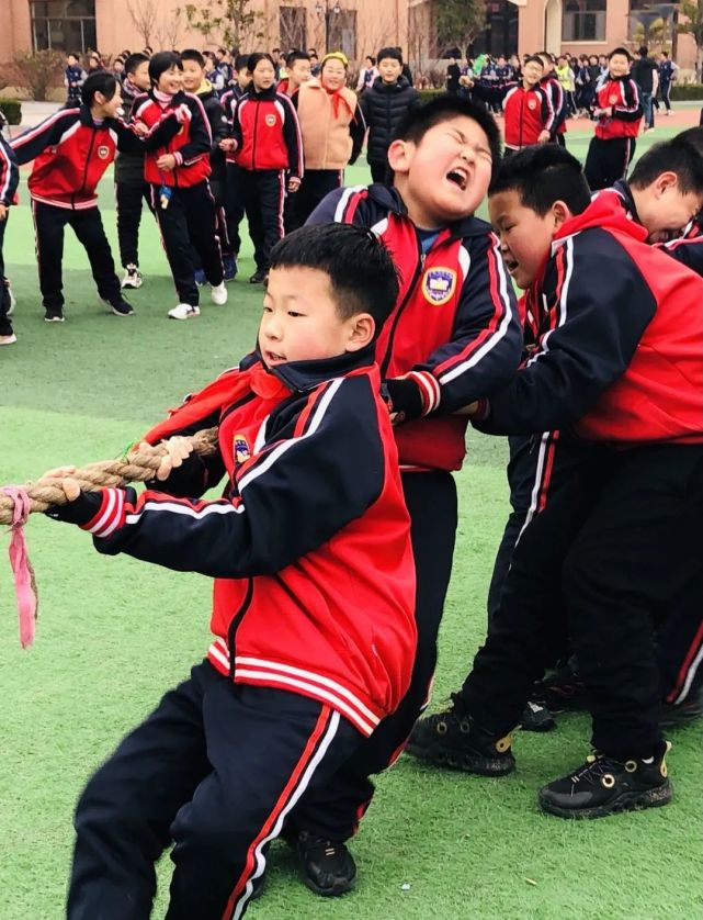 团结聚力,勇争第一|平度双语学校小学部举办拔河比赛