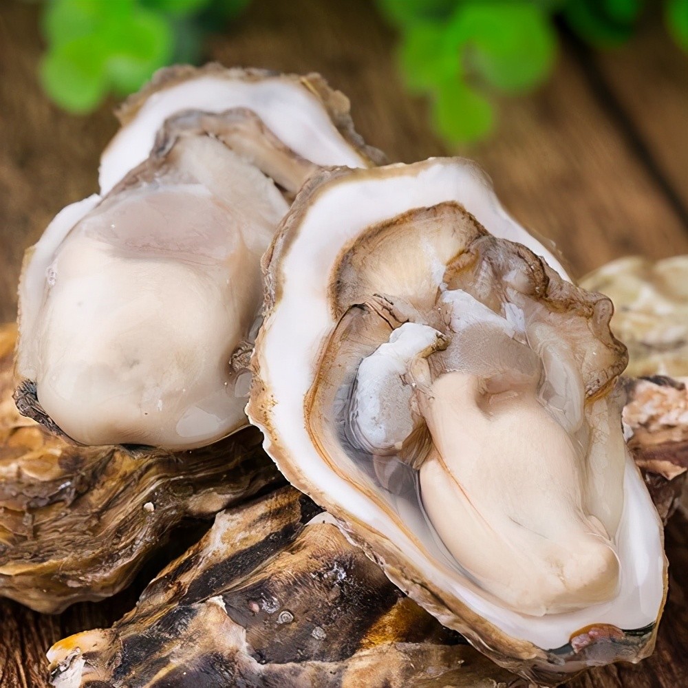 中国生蚝产地排名,哪个产地的生蚝最好吃?_腾讯新闻