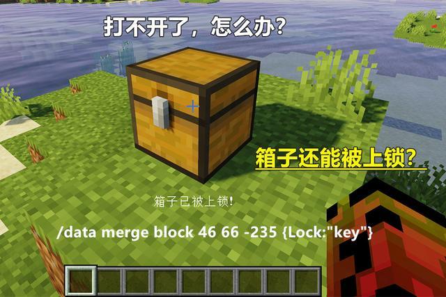 我的世界 将生物的身体强行放大 会怎样 你能憋住不笑 算我输 命令方块 我的世界 箱子