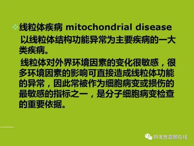 线粒体疾病的治疗方式