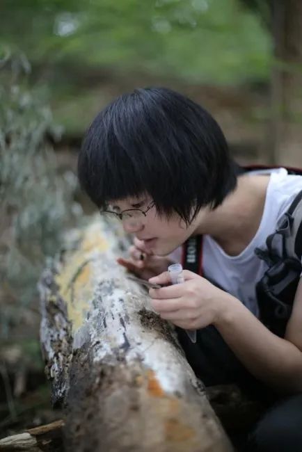 沉迷菌物的曳尾菌她镜头下的霉菌也太漂亮了吧