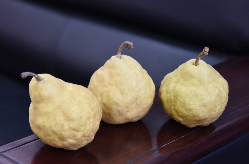 在笔者老家,有"歪瓜疙瘩梨"的俗语,大意是说不要看歪瓜疙瘩梨外表丑陋