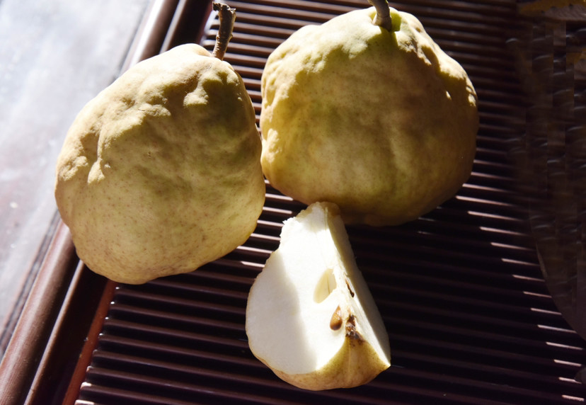 山东丑梨北京"献丑"