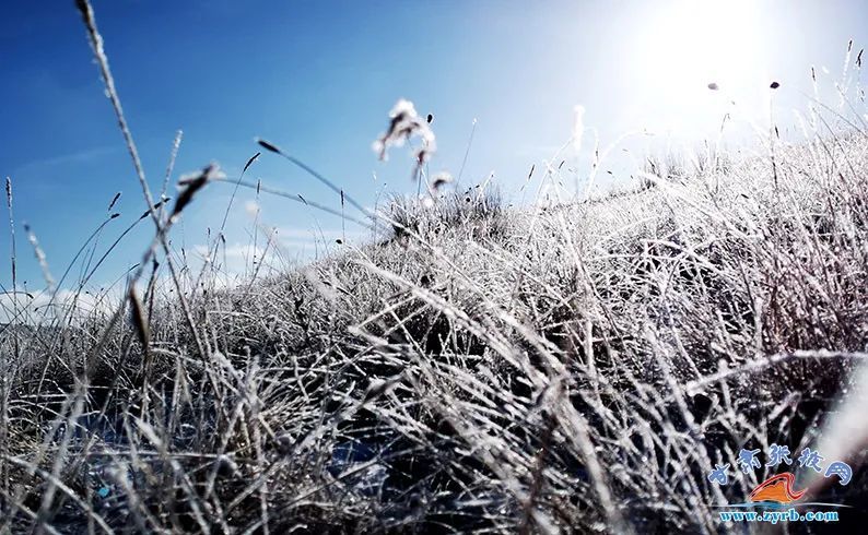 雪後初霽肅南博雅塔拉唯美浪漫