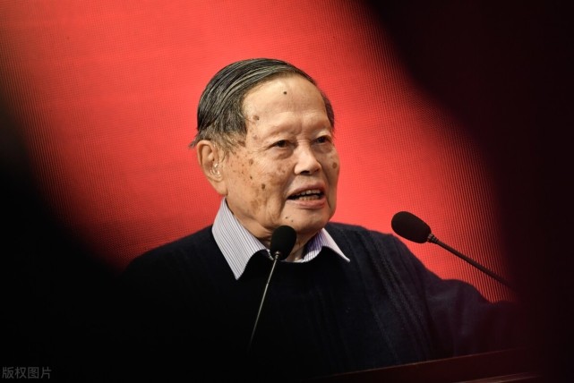 杨振宁|翁帆|杨振宇|杜致礼|杨老|西南联大