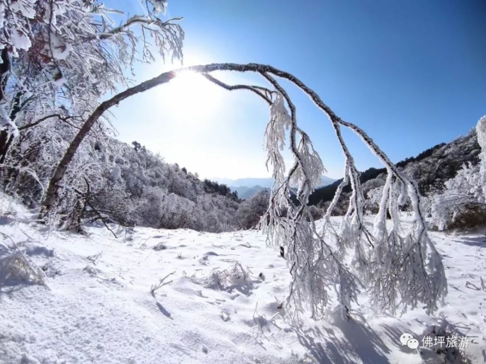 雪后初霁!佛坪凉风垭银装素裹,美景如画