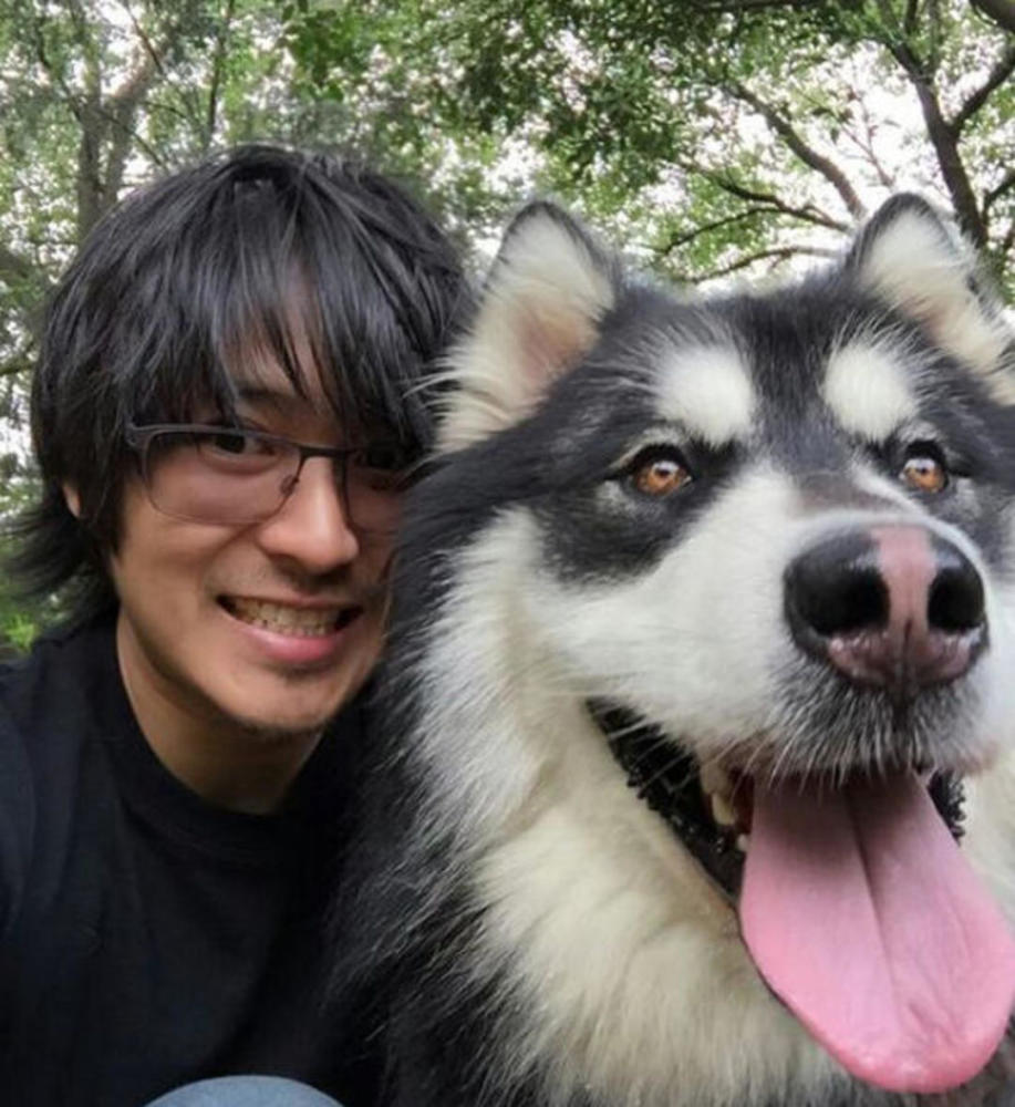 丁真小马珍珠发长文"护主" 萌宠大v们出圈就靠"个性"