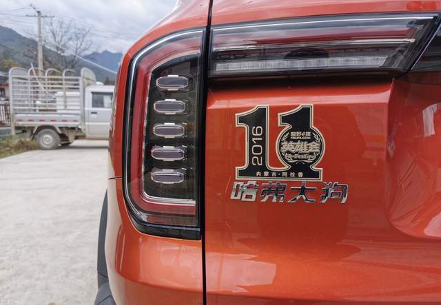 边牧排行_2016年CKU边境牧羊犬排行前10