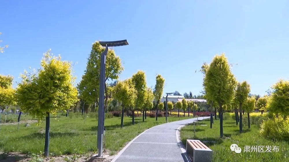 健身器材多了健走步道长了酒泉肃州区市民锻炼的劲头更足了