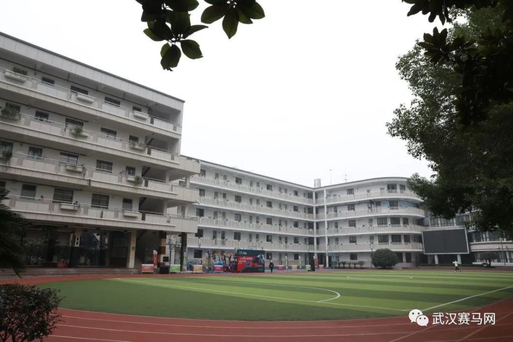 武汉育才小学升初中(武汉育才小学升初中情况)