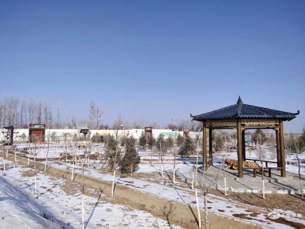 民勤县东坝镇巩固脱贫攻坚成果推动乡村振兴