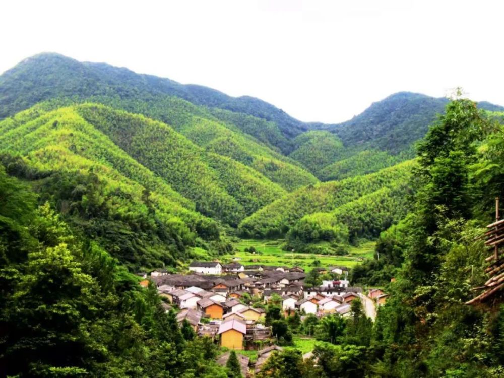 方洞村:加强古村落保护与开发 擦亮"国家森林乡村"金字号招牌_腾讯