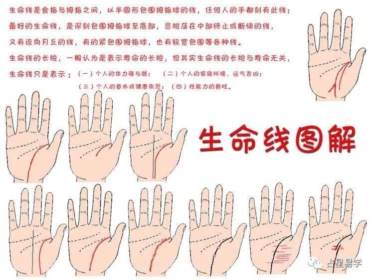 手相最详细的生命线